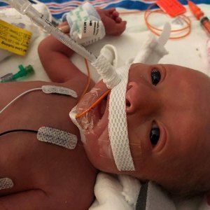 Meet your Posher, Vickie